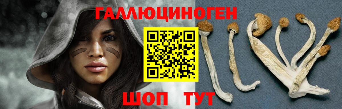 продажа наркотиков  Псилоцибиновые грибы ЛСД  Вход с VPN  Псилоцибиновые грибы Magic Shrooms  Реж 